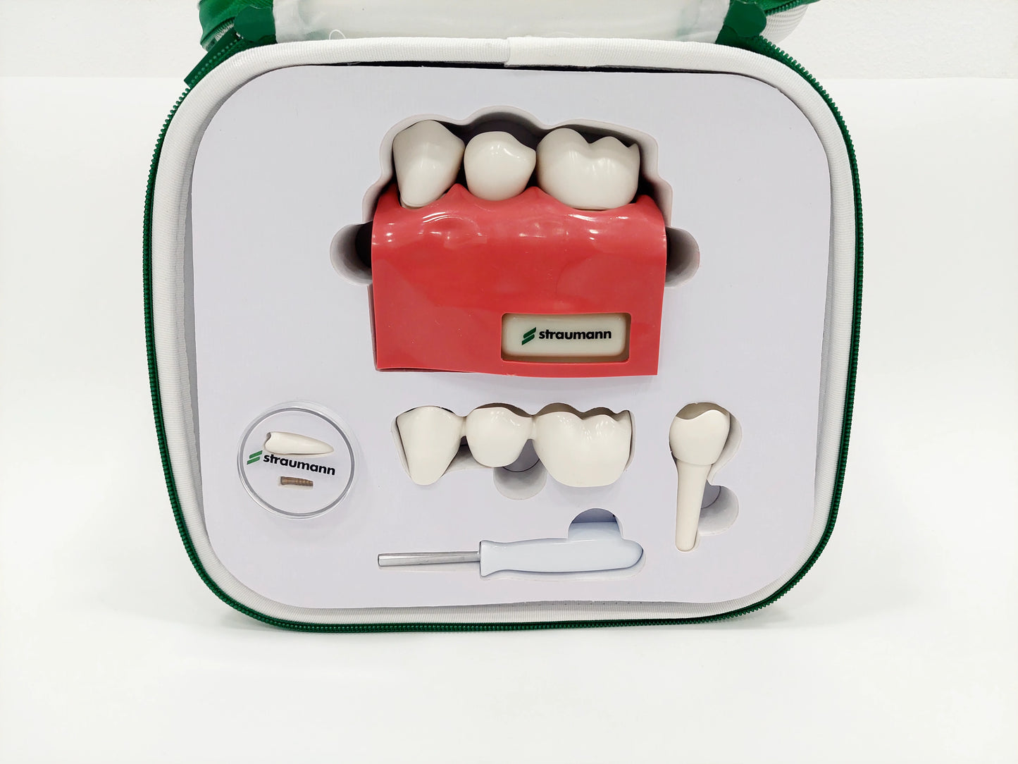 Straumann Dental Illustration Model Implantat